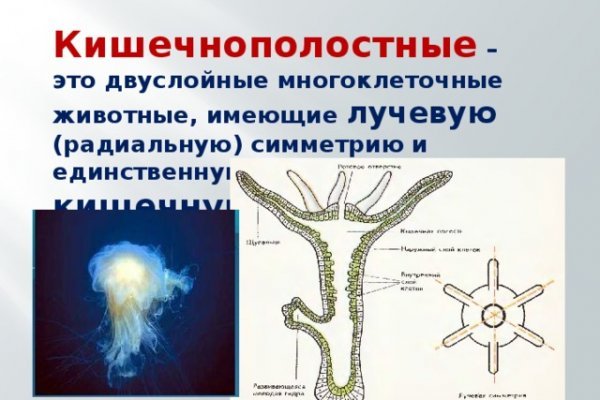 Кракен сайт 18at